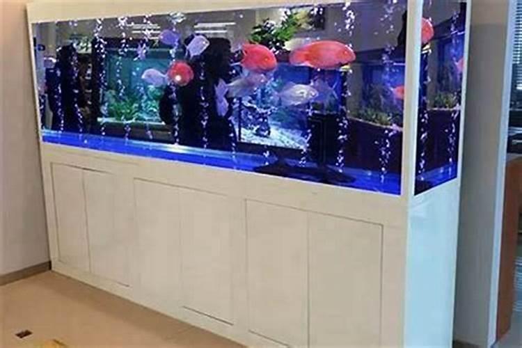 十斤水加多少克鱼蛋白原浆合适