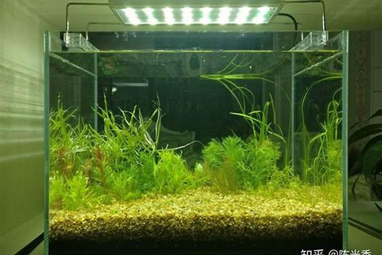 鱼蛋白水溶肥制作方法