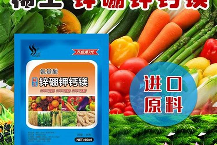 玉米穗肥啥时候追