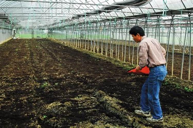 按照植物所需自制营养肥料,怎么达到氮磷钾含量均衡？