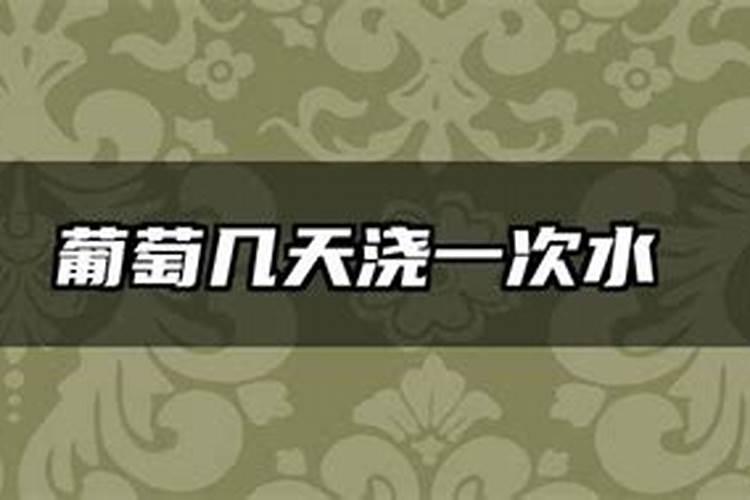 牦牛骨髓粉的作用和副作用
