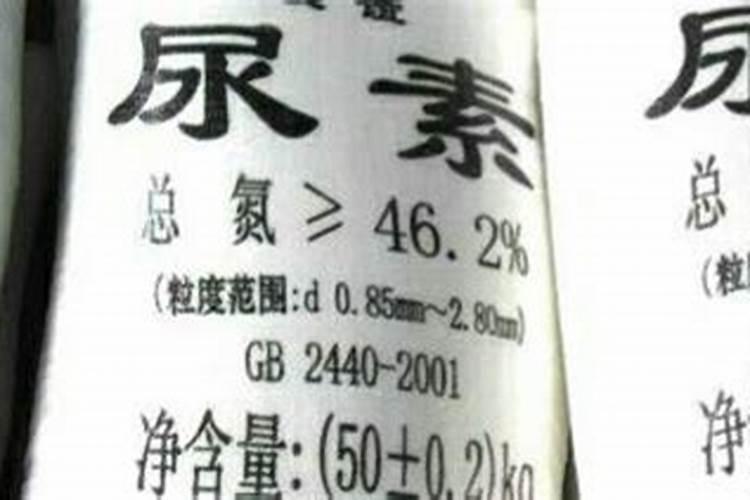 辣椒苗很小就开花要摘掉吗