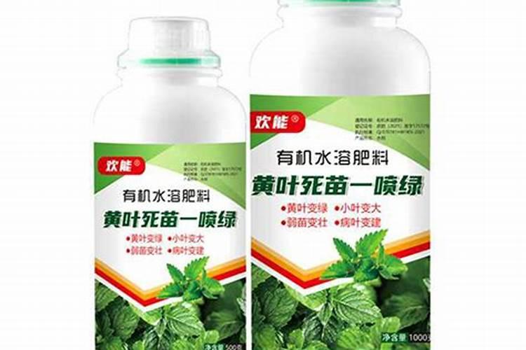 洋葱施肥技术管理