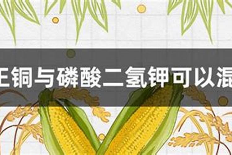 含镁的肥料有哪些