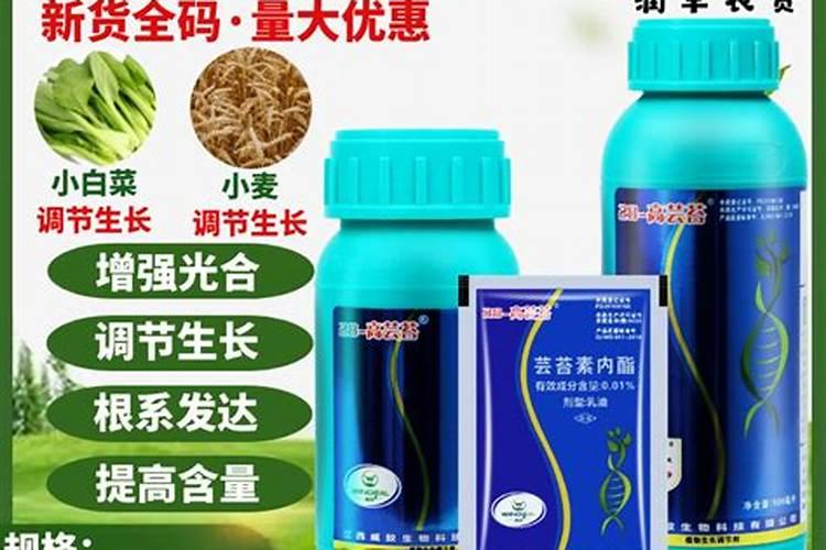 小麦打芸苔素好吗