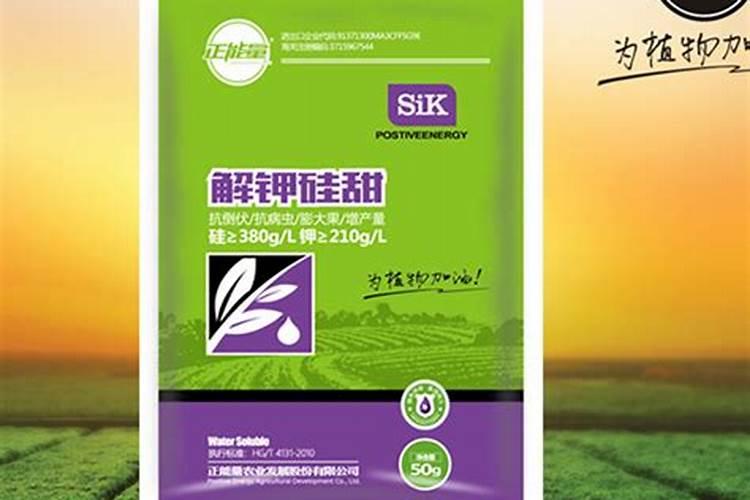 三七作物能用硅钾叶面肥吗
