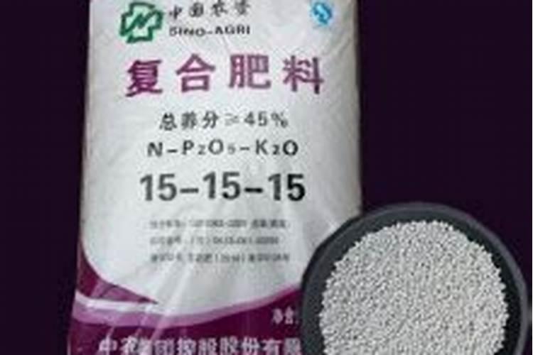 文竹施肥时间,怎样给文竹施肥