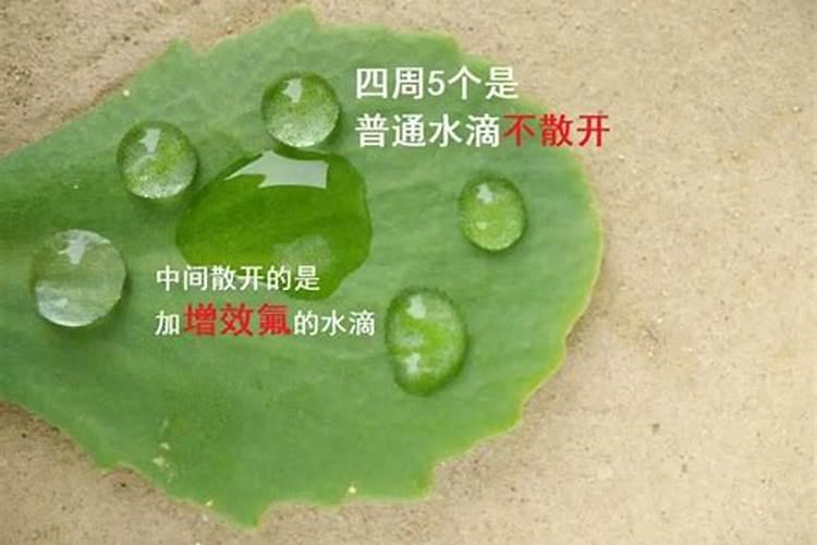 不想使用激素,怎么让农作物的根茎强健、果实大？