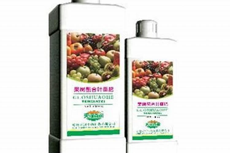 种下一周的多肉能浇液体肥料吗