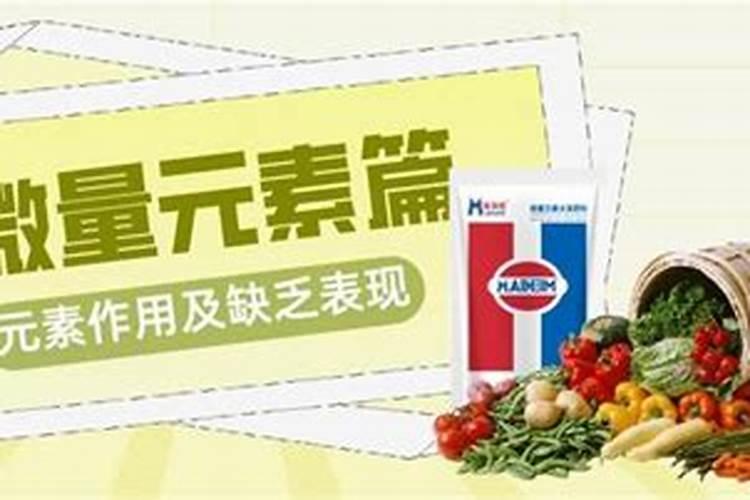 昙花开过以后怎么处理