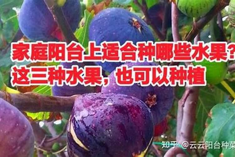 肥料可以用水溶解后浇花吗