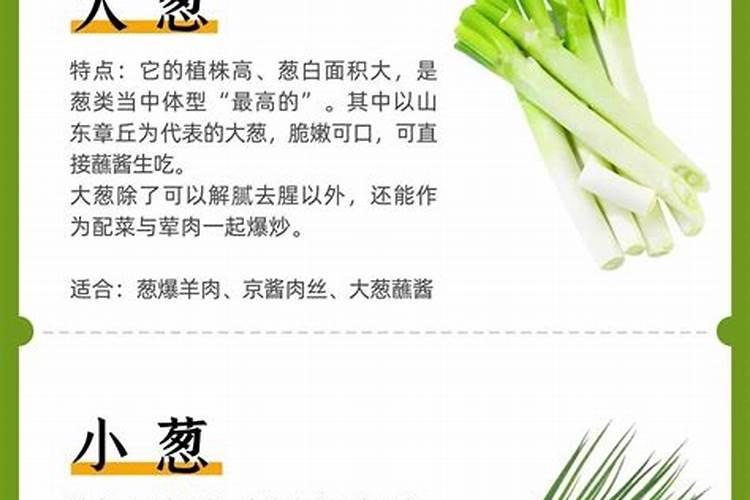 大葱吃多了会怎样大葱吃多了会有什么坏处呢