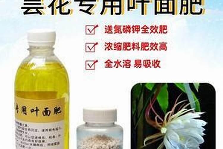 猪肉埋地下多久可以做肥料
