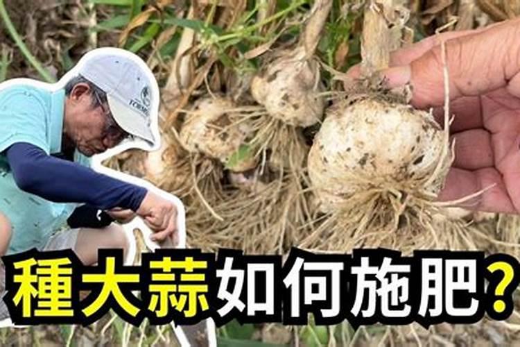 水溶性肥料生产方法 水溶性肥料施用方法