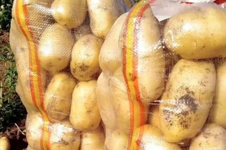 种土豆每亩用多少肥料最好