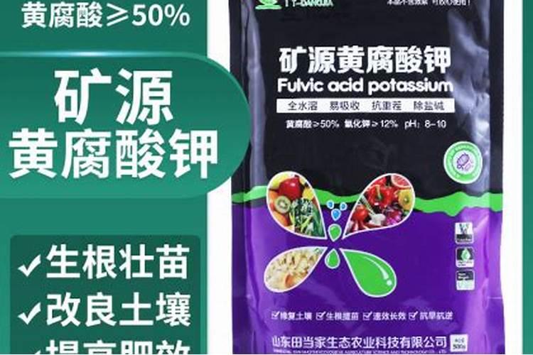 球芽甘蓝是一种什么蔬菜？