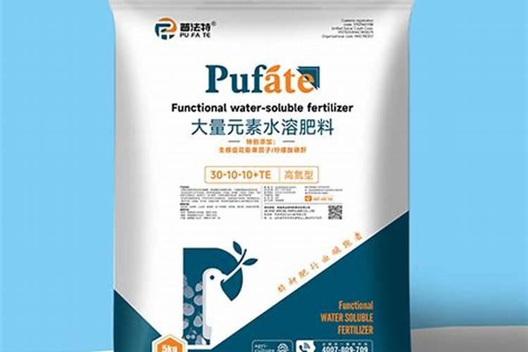 多肉植物施肥用什么好