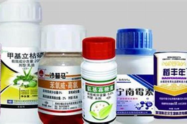 草木灰是好肥料吗？如何正确给苹果树上肥？