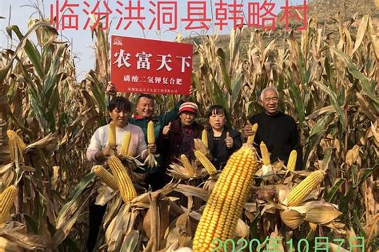 硅铁哪里生产的多