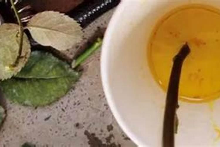 梨树刚下尿素没下雨了,对梨树有影响吗？
