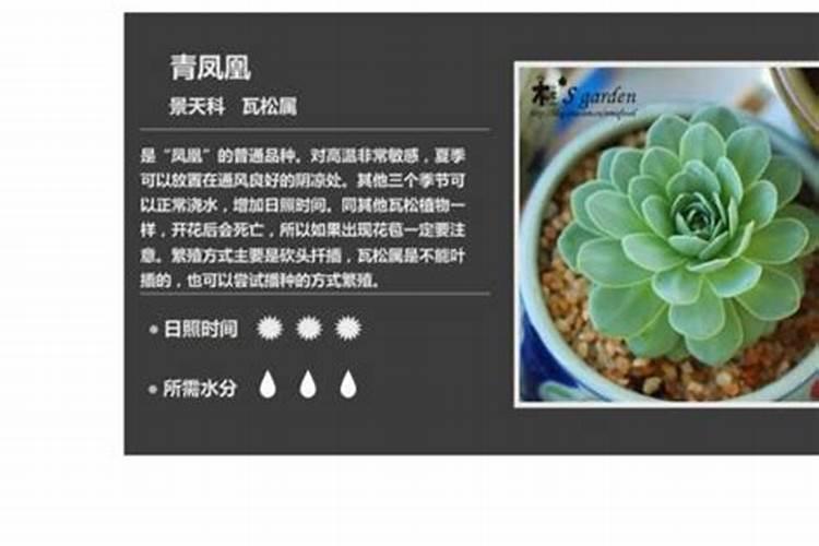 苹果树需要什么肥料