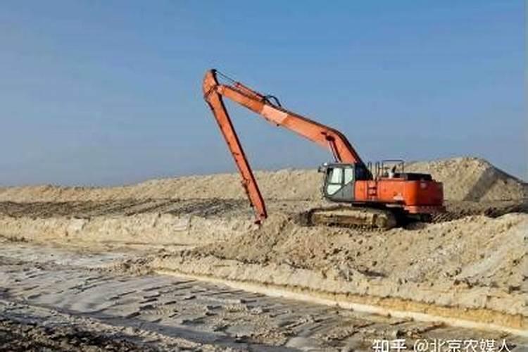 怎么给户外地栽茶花施肥