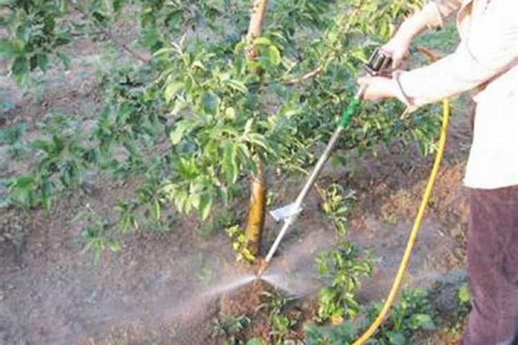 水泥是什么材料做的 水泥是哪种材料做的