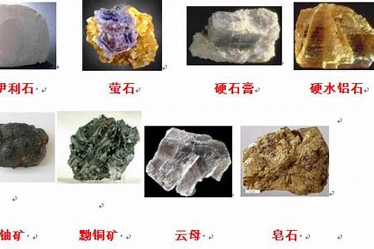 芦笋喜欢什么肥料