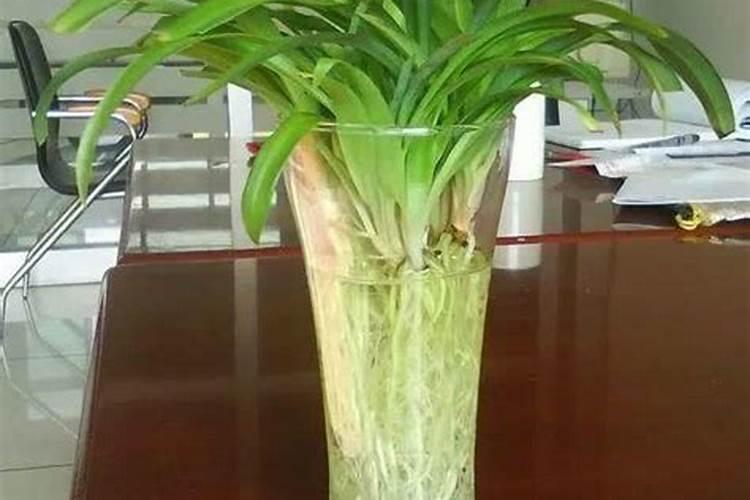 刚刚施用肥料后就下雨放水,肥料会流失掉吗？