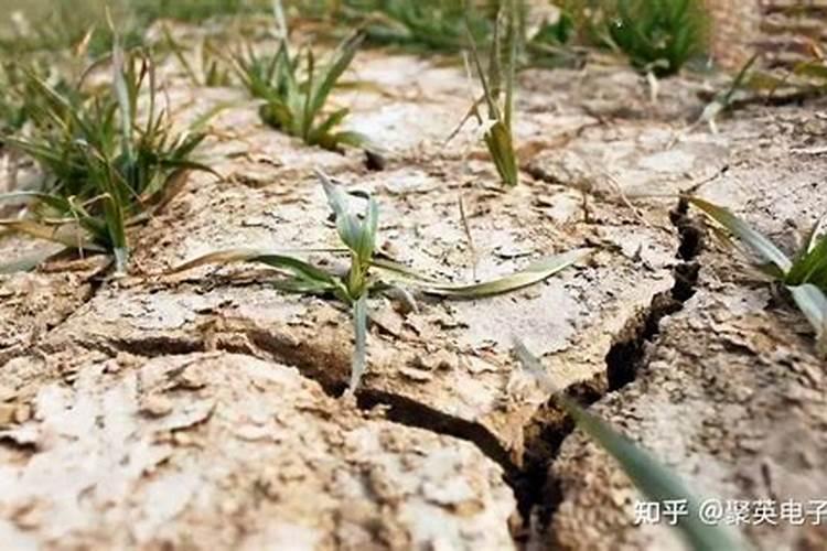 ...①看外观.氮肥、钾肥都是白色晶体;磷肥是灰白色
