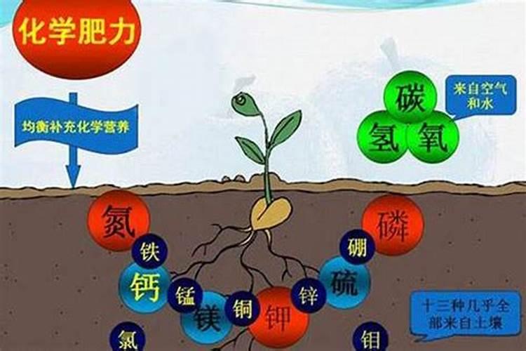 土壤养分丰缺指标法的步骤是什么？