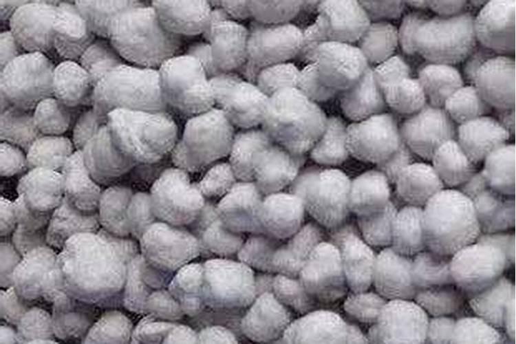 月季花施肥施什么肥料