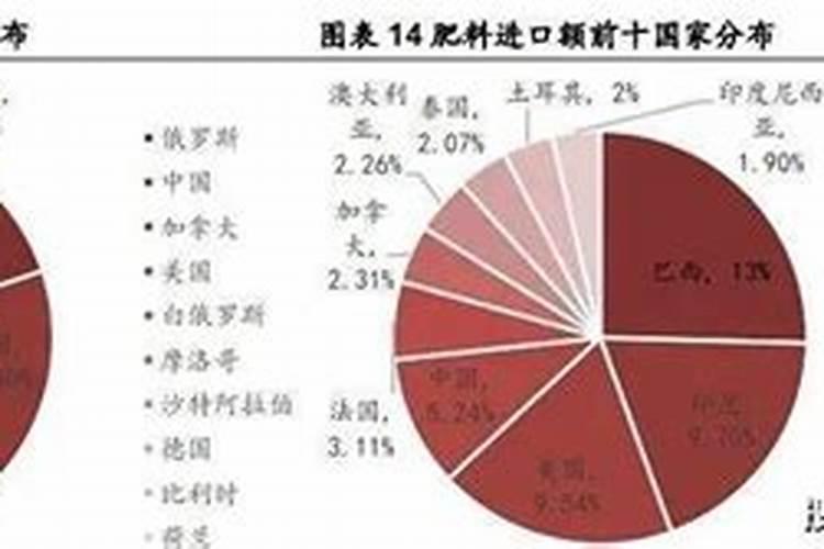 什么叶面肥能使叶子快速变绿变厚什么肥料可以使叶片肥厚