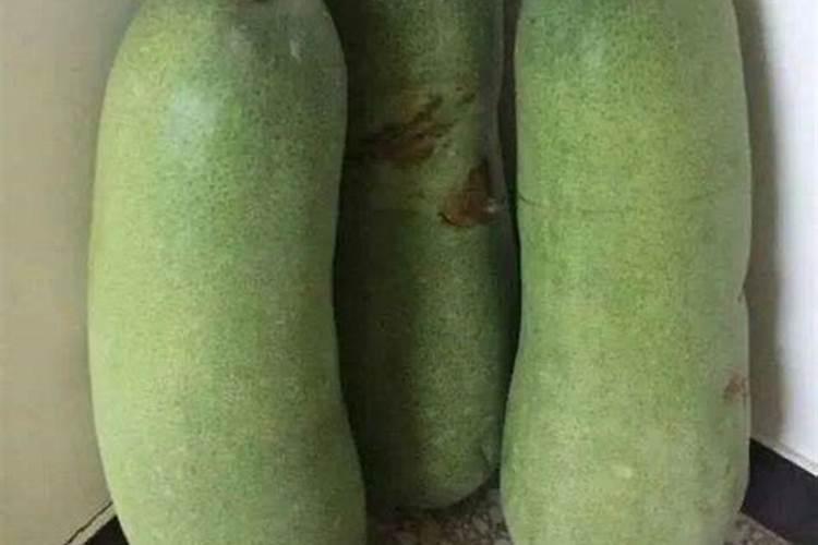 种丝瓜用什么肥料最好