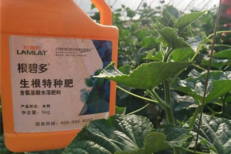 施用控释肥应注意什么