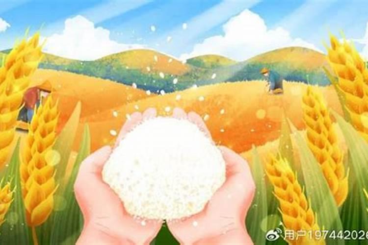 土壤中的化肥残留如何降解