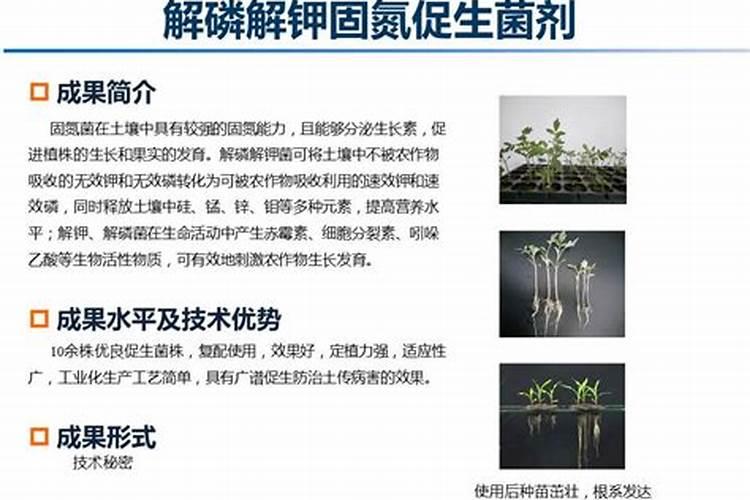黄腐酸钾的使用方法