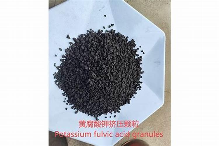 江苏淮安特产:淮阴青椒