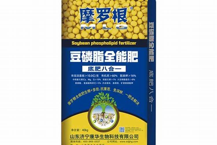 无尽夏绣球花施什么肥