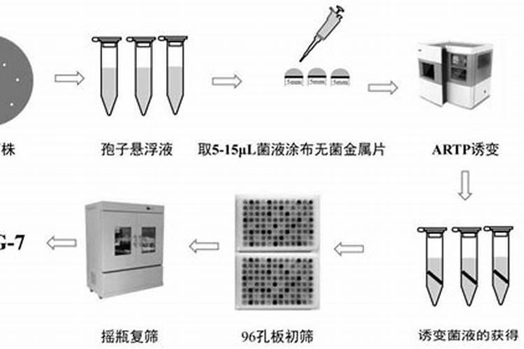 肥料腐值酸是什么意思