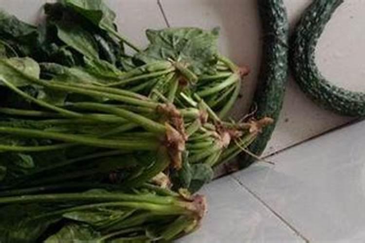 为使菠菜长得快应选用什么肥料