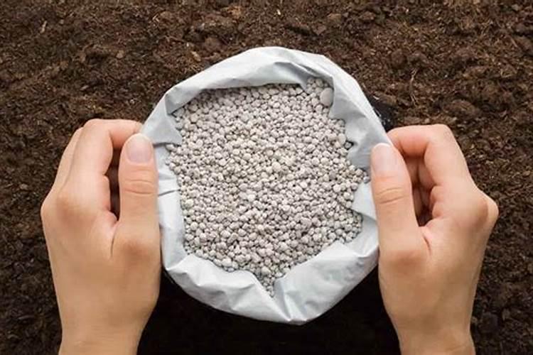 柑橘开花之际用哪种肥料比较好