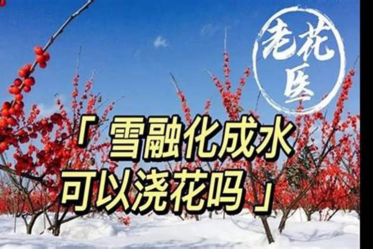 怎么使种在土里的黄豆发芽？