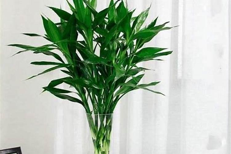 花生硼肥什么时间施用