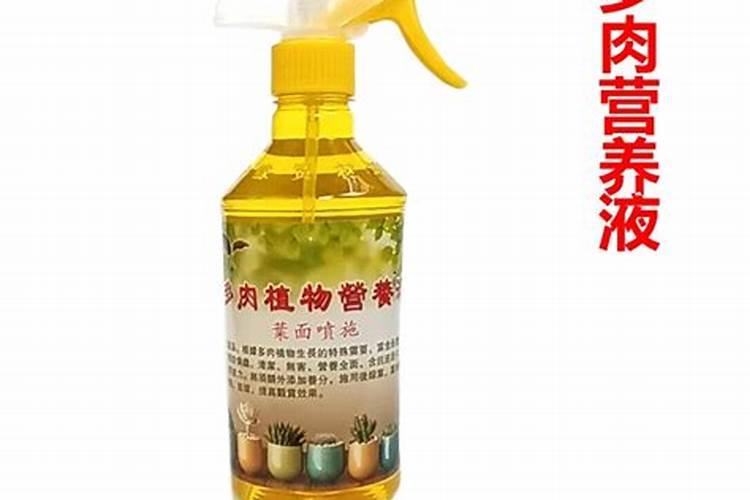 怎么做植物根系才发达