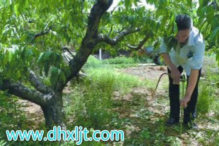 绿之洲水溶肥怎么样？