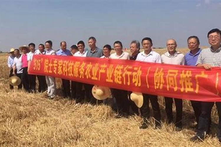 麦黄金水溶肥怎么样