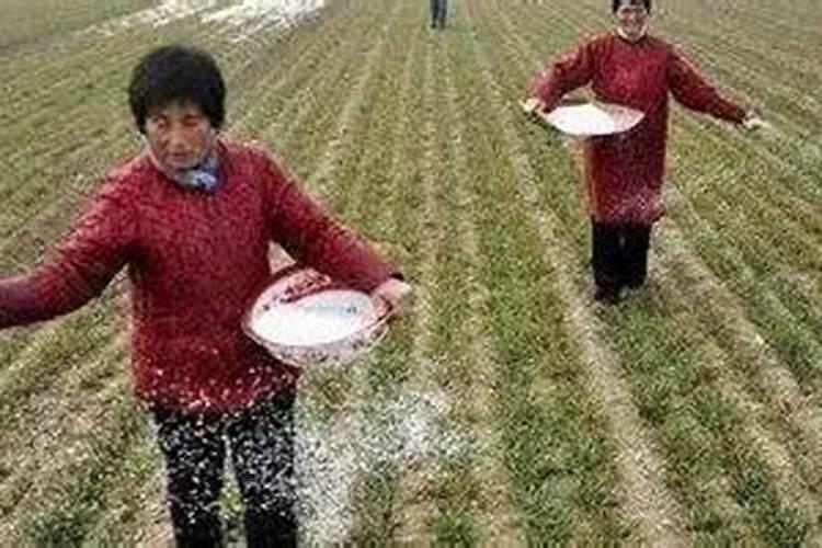 有机肥菌肥能提前撒到地里。几天后再旋耕,会失效吗？