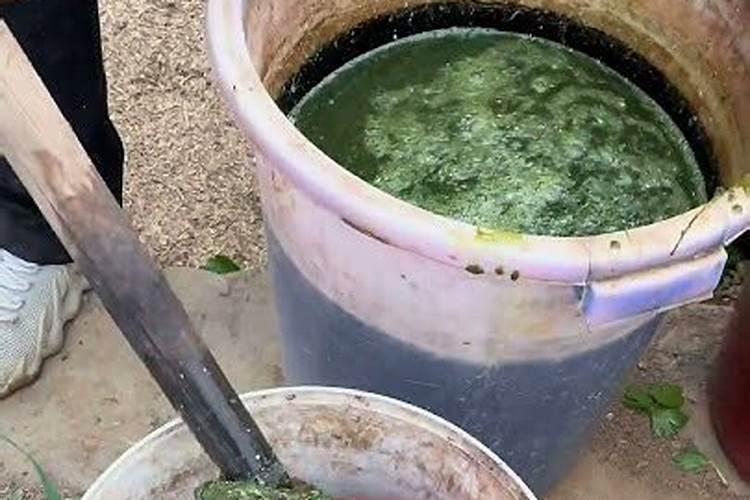 钾肥对水稻的作用及功能,钾肥过量会出现什么问题