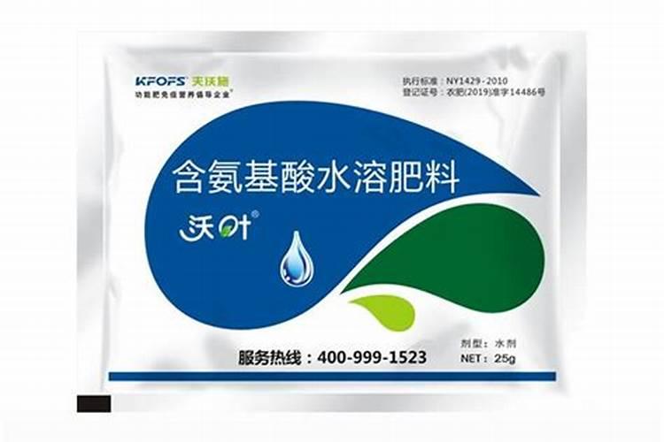 春兰浇水时间和正确方法